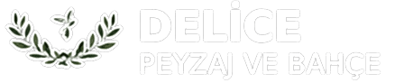 Beyaz Logo