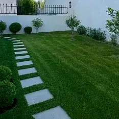 Düzenli Bahçe Bakımı