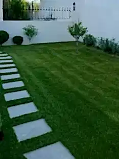 Düzenli Bahçe Bakımı