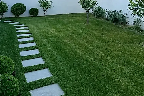 Düzenli Bahçe Bakımı