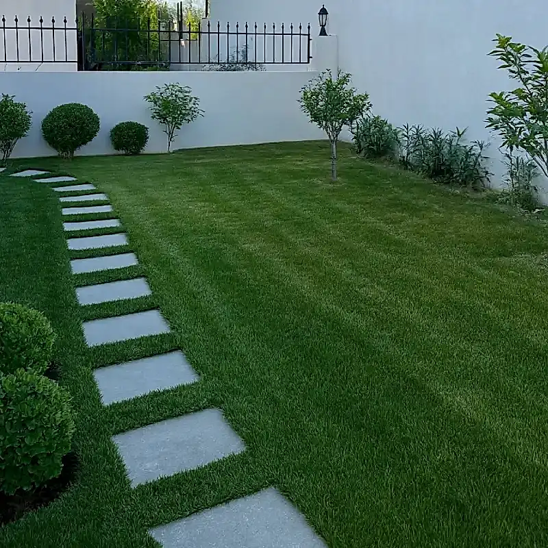 Düzenli Bahçe Bakımı