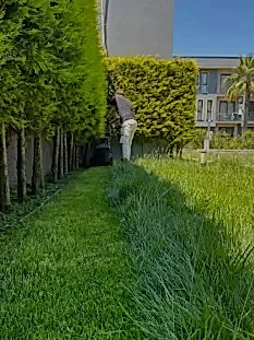 Bahçe Düzenlemesi