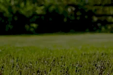 delice peyzaj iletisim