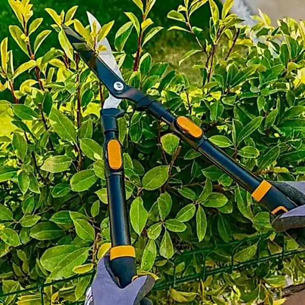 GENEL BAHÇE TEMİZLEME HİZMETİ MUĞLA