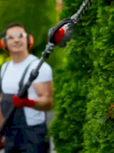 genel bahce temizligi