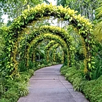 Milas Peyzaj_ Bahçeniz Milas’ın Doğasına Yakışsın