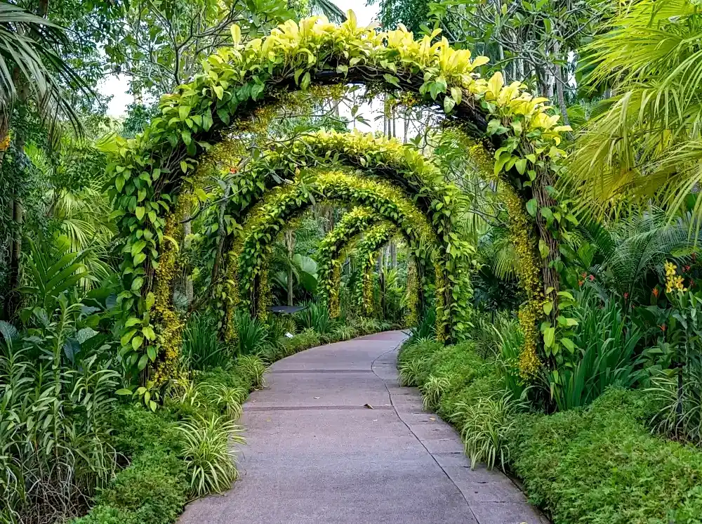 Milas Peyzaj_ Bahçeniz Milas’ın Doğasına Yakışsın