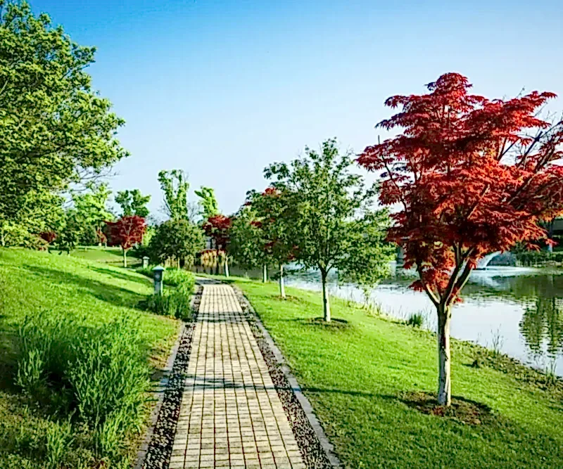 Modern Peyzaj Trendleri 2025’te Bahçelerde Öne Çıkan Tasarımlar