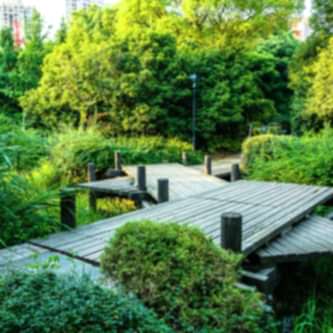 Delice Peyzaj – Manisa Peyzaj Uygulamaları