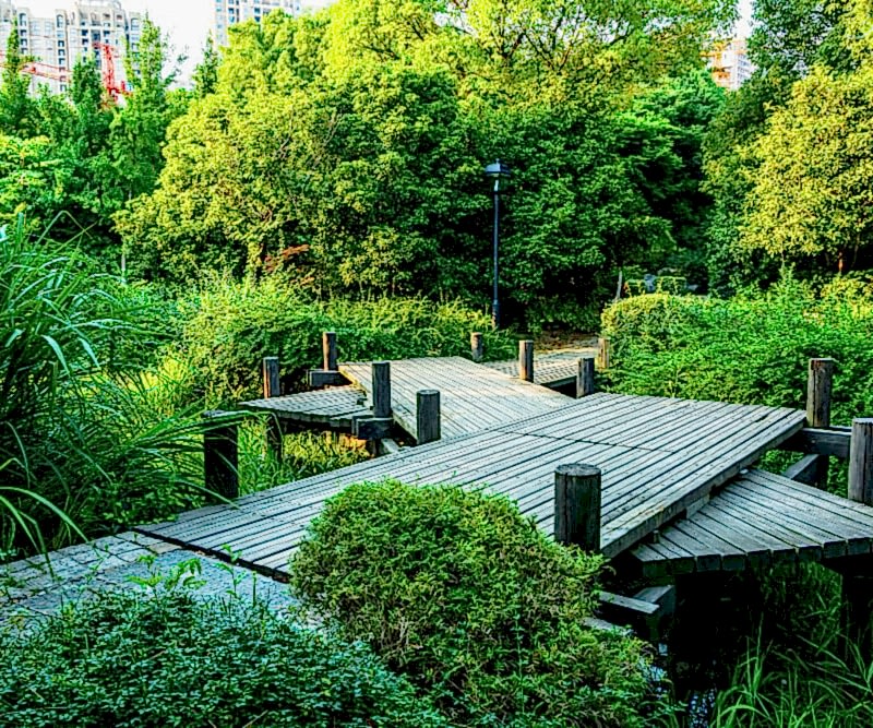 Delice Peyzaj – Manisa Peyzaj Uygulamaları