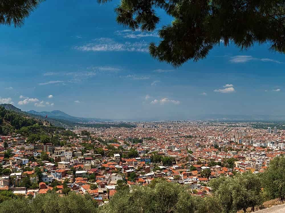 Manisa’da Rulo Çim, Otomatik Sulama ve Bahçe Bakımında Uzman Hizmet